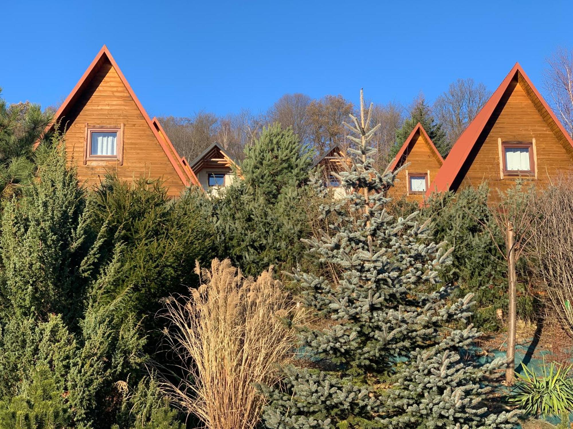 Domki Nad Solina Czarny Kot 509-797-777 Exterior photo